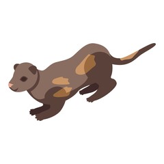 Fur mink icon. Isometric of fur mink vector icon for web design isolated on white background
