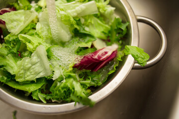 
Green washed lettuce leaves in a colander