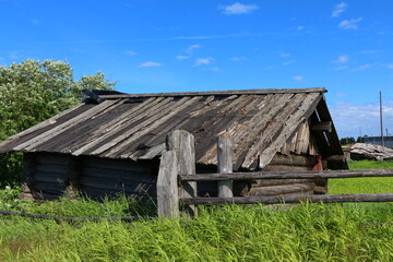Old wooden round log shed unpainted with rotten boards on the roof with walls without windows and doors in tall green grass. Rural vintage landscape with blue sky on a sunny day