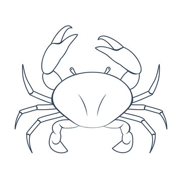 recommend clip art: Black Cancer vector icon. Illustration of an astrology sign. Zodiac astrology sign depicting crab arthropod animal. crustaceans flat design character.