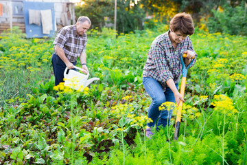 Portrait of happy elderly couple working in the garden