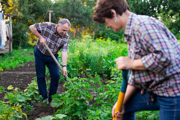 Portrait of happy elderly couple working in the garden