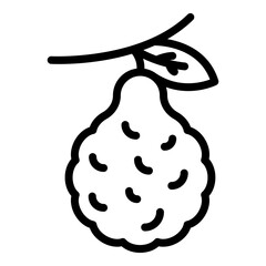 Botanical bergamot icon. Outline botanical bergamot vector icon for web design isolated on white background