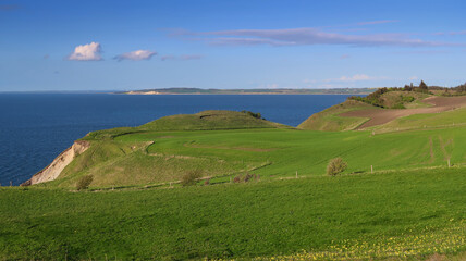 Fototapeta premium Landscape at the Limfjord in Denmark
