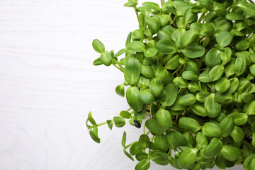 Fresh organic microgreen on white table, top view. Space for text