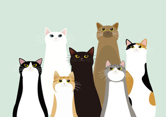 首を長くして空を見上げてキョロキョロする猫