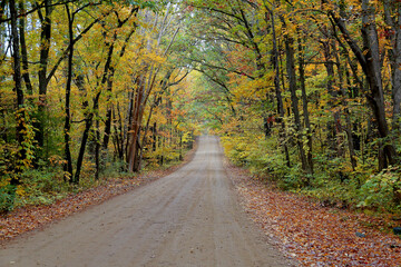Tree lined dirt road with autumn foliage