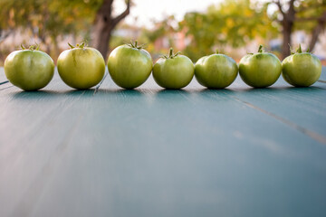 Green tomatoes on the table in a row