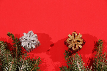  Fir branches lie on a red background decorated with Christmas gifts.
