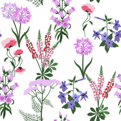 Wild flowers. Seamless summer pattern with lupine,poppy, yarrow and bluebells. Floral white background.Vector illustration.