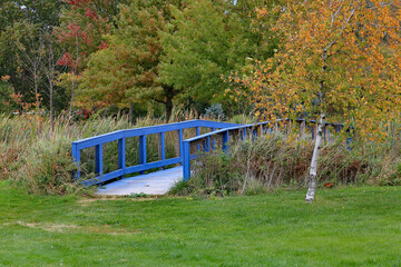 Blue, wood bridge over heavily overgrown creek