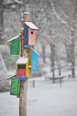Multicolored birdhouses on a tree. Cold winter with snowstorm.