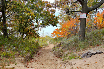 Sandy path with trees in autumn colors