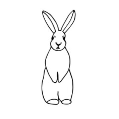 Rabbit, vector illustration, hand drawing