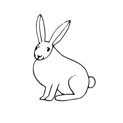 Fototapeta na wymiar Hare, vector illustration, hand drawing