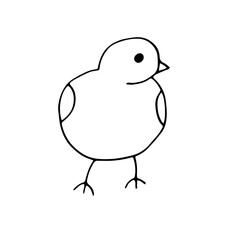 Chicken, vector illustration, hand drawing sketch