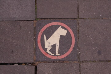 vietato ai cani