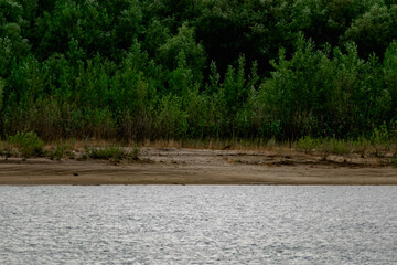 Green vegetation over the don river in the Rostov region in overcast weather. Under a grey, rainy sky. Rare colors of nature in scattered clouds, lighting