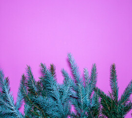 Christmas frame on a pink background with fir branches. Place for text postcard mockup