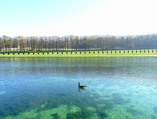 landscape with a lake