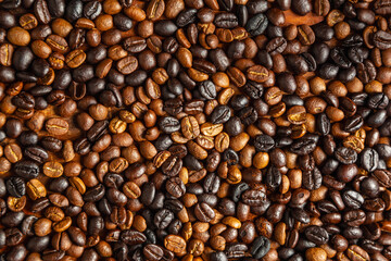 .Roasted coffee beans background and Roasted coffee beans backdrop