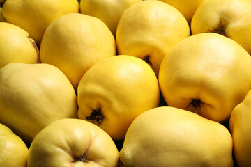 Fresh ripe organic quinces as background, closeup