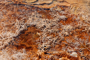 texture of the stone