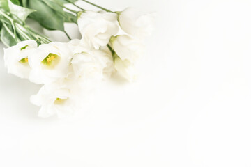 Fototapeta premium Vintage white flowers background. Great design for any purposes.
