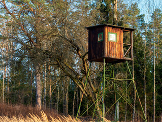 Hunter box in spring sunny forest.