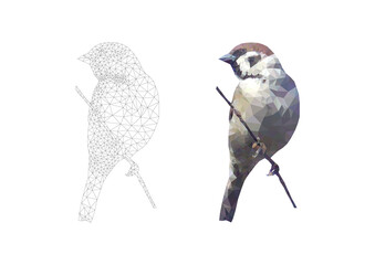 Vector circuit low poly sparrow. Vector illustration polygonal bird on branch
