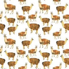 Llama or alpaca in seamless pattern on white background. Watercolor hand drawing illustration of american animal with brown wool. Perfect for digital paper, wrapping, textile, print.