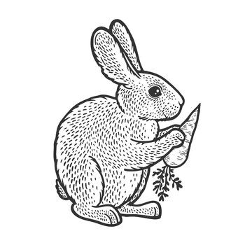rabbit hare bunny with carrot sketch engraving vector illustration. T-shirt apparel print design. Scratch board imitation. Black and white hand drawn image.