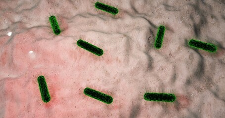 Salmonella typhi under microscope in 3d illustration