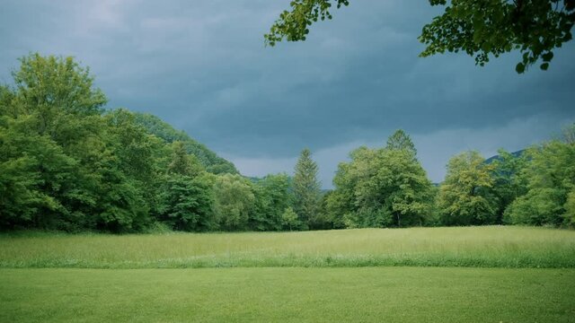 Green field in front of trees on a cloudy day