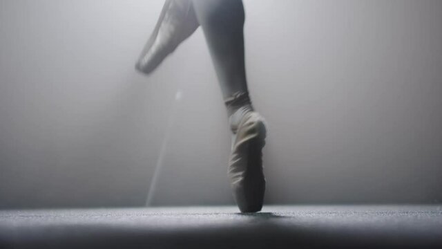 Young woman ballerina dancing on her pointes