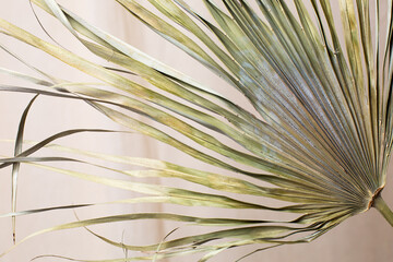 Tropical palm dry leaves on natural cotton fabric background