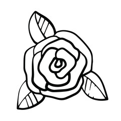 Simple vector hand drawn rose isolated on white background. Floral element design. Outline flower for web, greeting card, poster, clothes.