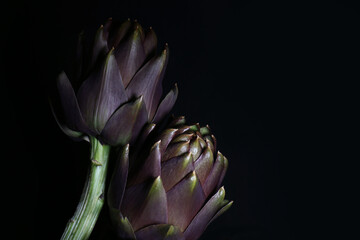 Carciofi su fondo nero © Enzo Pancaldi