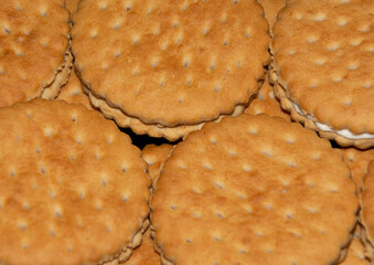 many round biscuits with filling