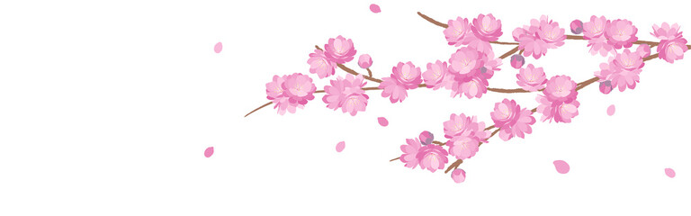 Peach Blossoms spring banner