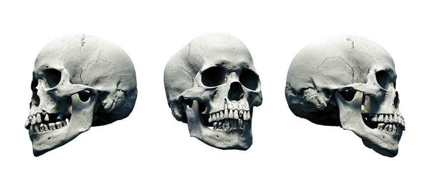 Set Human skulls with an close lower jaw on a White isolated background. The concept of death, immortality, eternal life, horror. Acult symbol. Spooky Halloween symbol. 3D render
