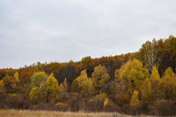 View of the forest hills in autumn