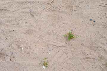Background with sand on the ground and numerous sole prints. Sandy coating of a children's playground.