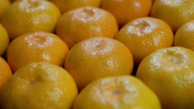 Lots Of Tangerines, Rotation, Close-up, Isolated. Background of Tangerines. Cirtus Fruits. The Concept of Healthy Food.