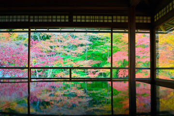 和室から眺める紅葉の日本庭園