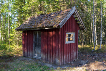 old wooden cottage in the forest