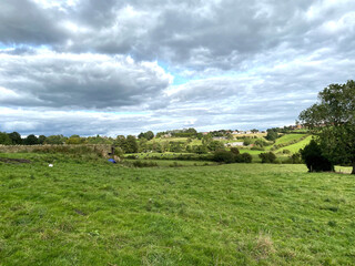 Landscape, with fields, cows, dry stone walls, and hills in the distance on, Lower Wyke Lane, Bradford, Yorkshire. UK