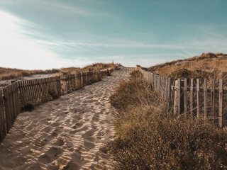Path to the beach through the dunes surrounded by a wood fence