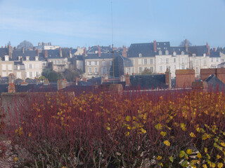 blois,loir et cher,france