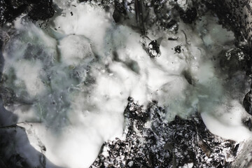 large mold on fermented waste